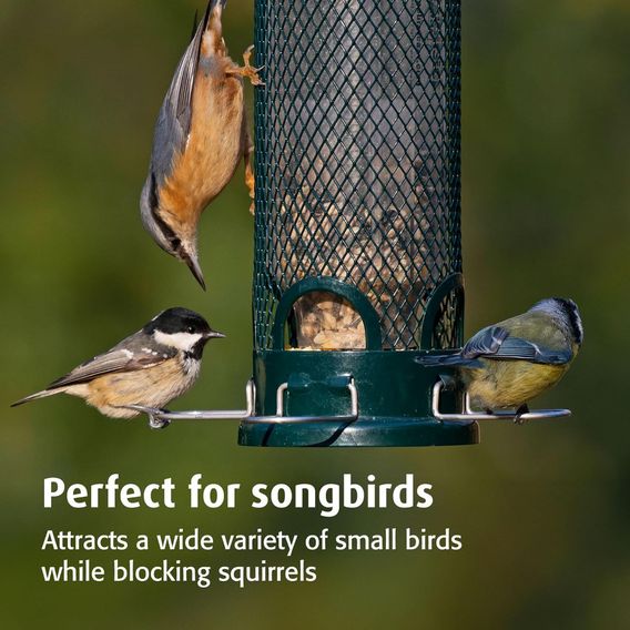 Brome Squirrel Buster Mini Seed Feeder